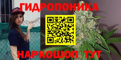 прущие грибы Кунгур