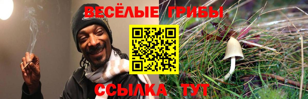 как найти закладки  Вход с VPN  Галлюциногенные грибы Magic Shrooms  Кашира  Галлюциногенные грибы прущие грибы 