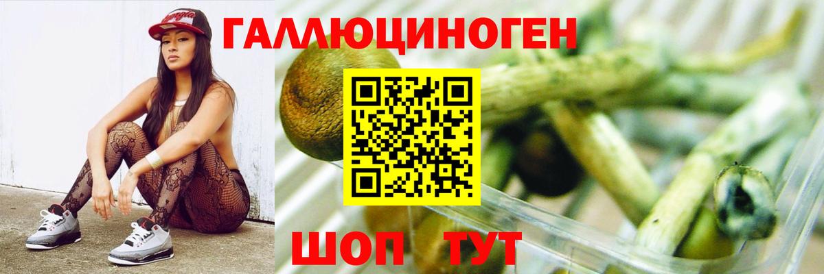 Галлюциногенные грибы GOLDEN TEACHER Кашира